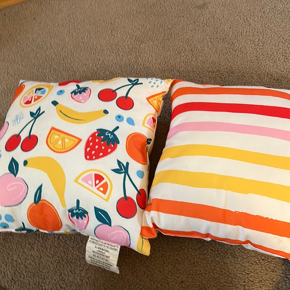 2 Summer Throw Pillows